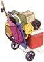 The All NEW Economy Beach Cart,