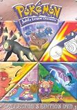 Pokemon - Road to the Johto League Champion