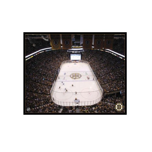 NHL Boston Bruins Arena 16x20 Canvas Art