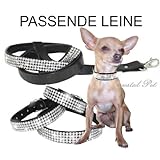 PASSENDE STRASSLEINE