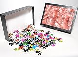 Photo Jigsaw Puzzle of Brittle bone disease from Science Photo Library