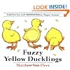 Fuzzy Yellow Ducklings