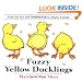 Fuzzy Yellow Ducklings