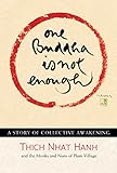 One buddha is not enough : a story of collective awakening