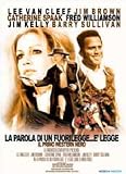 la parola di un fuorilegge e` legge / Take a Hard Ride (Dvd) Italian Import