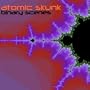 Binary Scenes