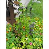 Adjustable Height Trellis