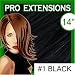 Pro Extensions, 14