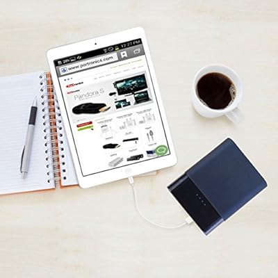 Potronics 548 13400 Mah Power Bank for Smartphones and tablets from Apple, Samsung, Htc, Google and BlackBerry