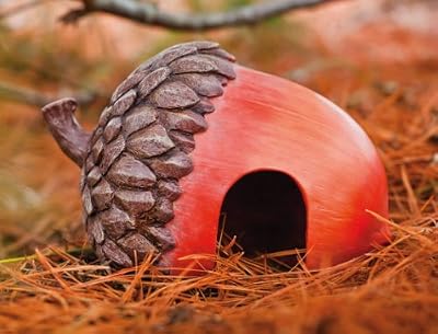 Acorn Toad Home