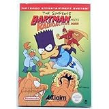The Simpsons: Bartman Meets Radioactive Man