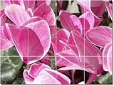 IMAGE OF Flowers Photo Custom Tile Mural 22 | 12.75x17 using (12) 4.25x4.25 tiles