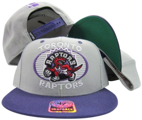 Toronto Raptors Grey/Purple Tone Plastic Snapback Adjustable Snap Back Hat/Cap