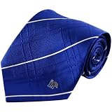 Memphis Tigers Royal Blue Oxford Woven Tie