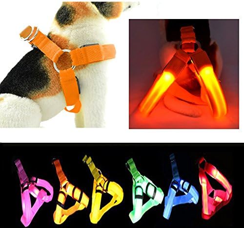 LED Dog Harness,Paperflower® Flashing Strong Waterproof Nylon Webbing Visible Led Light Harness Used for Safe Walking Hiking and Jogging (L, Orange)