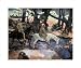 Escape Ford by Paul Gauguin poster print,20 in. x 16.8 in. Image