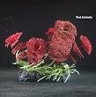 Plastic Aquarium Plant Ambulia Green 4