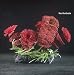 Plastic Aquarium Plant Ambulia Green 4