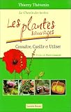 Les plantes sauvages : Connaître, cueillir et utiliser