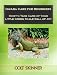 Iguana Care for Beginners:  How to Take Care of Your Little Green Scale Ball of Joy