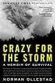 Crazy for the Storm