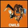 Owls