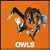 Owls