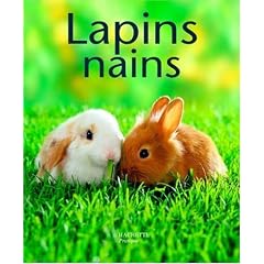 Lapins nains