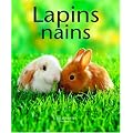 Lapins nains