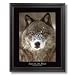 Eye Of Wolf From The Wildlife Series Picture Black Framed Art Print
