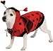 Pet Lady Bug Dog Costume For Small Dogs
