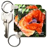Inspirational Dreams Poppy - Set Of 2 Key Chains