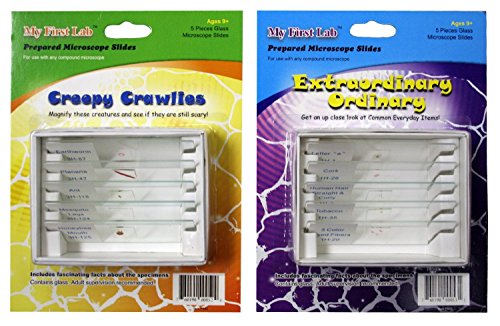 My First Lab Prepared Slide Set Combo Pack - Creepy Crawlies & Extraordinary Ordinary