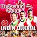 Live im Zillertal von Ursprung Buam - alle Infos