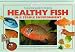 Practical Guide to Keeping Healthy Fish: Essential Advice to Help You Maintain Your Fish in Peak Condition (Tankmaster)