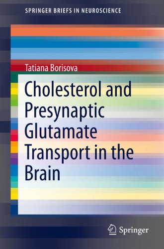 Cholesterol and Presynaptic Glutamate Transport in the Brain: 12 (SpringerBriefs in Neuroscience)