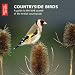 Countryside Birds: A Guide to the Bird Sounds of the British Countryside (British Library CD)
