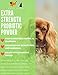 Buddy & Lola Probiotic Powder For Dogs - 4oz - 90 Servings Per Tub