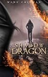 Shadow Dragon