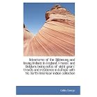 Adventures of the Ojibbeway and Ioway Indians in England, France, and Belgium; being notes... by Catlin George
