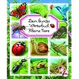 Produkt-Information 