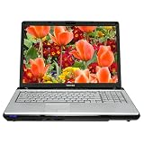 Toshiba Satellite P205-S6287 17-inch Laptop (Intel Core 2 Duo Processor T5300, 2 GB RAM, 200 GB Hard Drive, SuperMulti DVD Drive, Vista Premium)