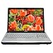 Toshiba Satellite P205-S6287 17-inch Laptop (Intel Core 2 Duo Processor T5300, 2 GB RAM, 200 GB Hard Drive, SuperMulti DVD Drive, Vista Premium)