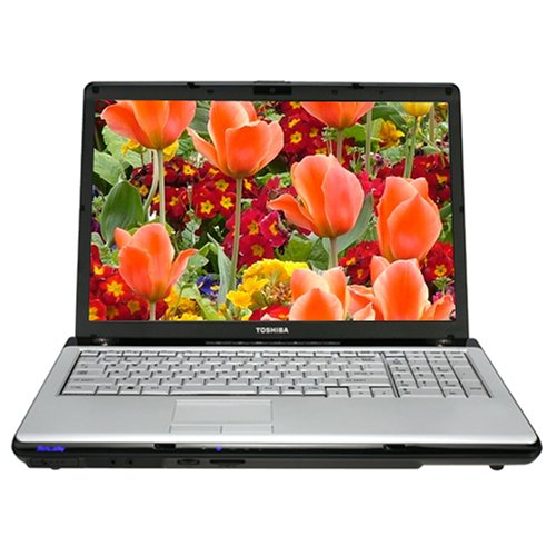PCHardware: Toshiba Satellite P205 S6287 17