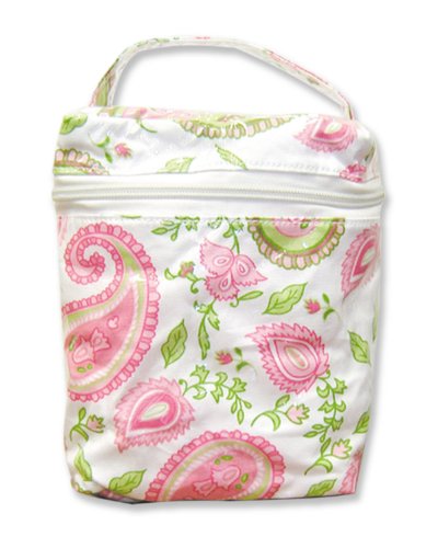 Paisley Park Insulated Bottle Bag