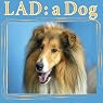 Lad: A Dog