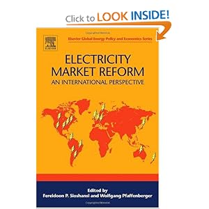 Electricity Market Reform: An International Perspective (Elsevier Global Energy Policy and... by Fereidoon Perry Sioshansi and Wolfgang Pfaffenberger