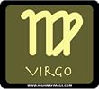 Virgo Toll Pass Holder
