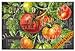 CounterArt Chalkboard Veggies Glass Cutting Board, 8 by 12-Inch