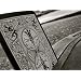 Bicycle BLACK Tiger Playing Cards Deck by Ellusionist (RARE)